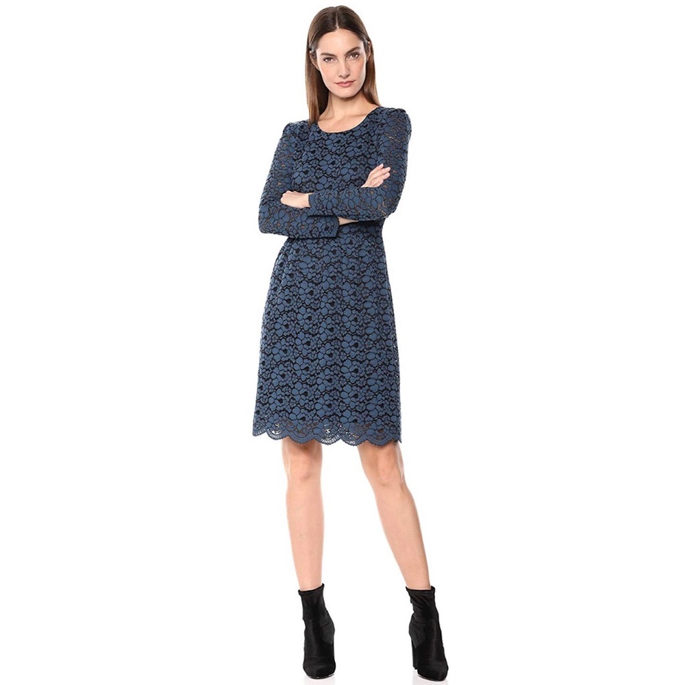 Lark & Ro Long Sleeve Gathered Lace Fit and Flare